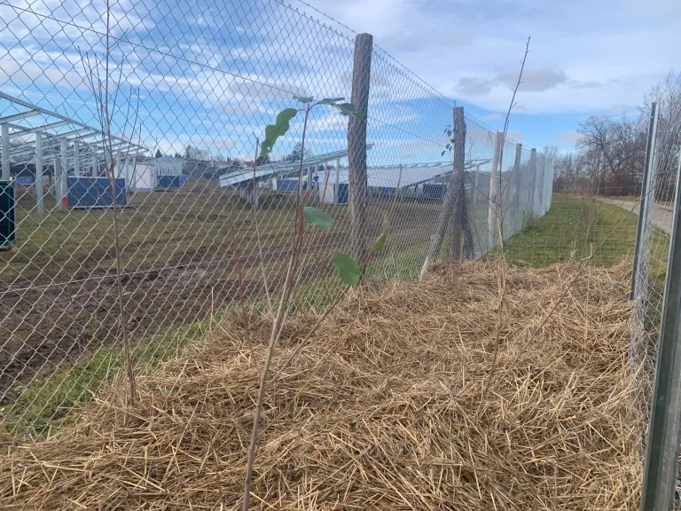 Photovoltaik Anlage Pöttinger Feld